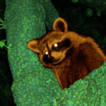 Протест жителів Animal Crossing проти Тома Нука