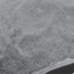 Зображення мікроскопічних електронних пристроїв