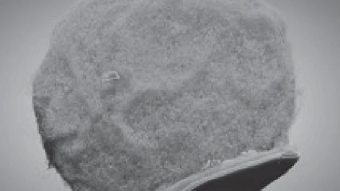 Зображення мікроскопічних електронних пристроїв