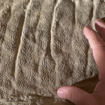 Мумії динозаврів Edmontosaurus в Вайомінгу