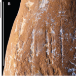 Неандертальці виготовляли кольорові крейди