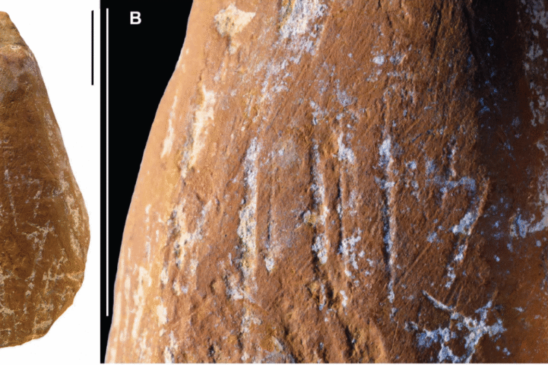 Неандертальці виготовляли кольорові крейди