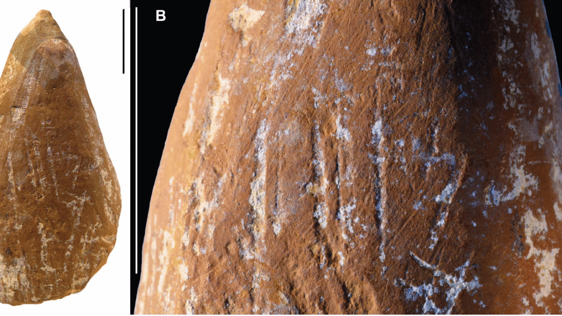 Неандертальці виготовляли кольорові крейди