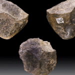 Стародавні кам'яні знаряддя гомінідів