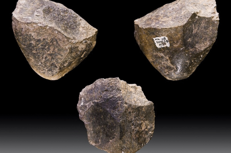 Стародавні кам’яні знаряддя: 10 тисяч поколінь гомінідів